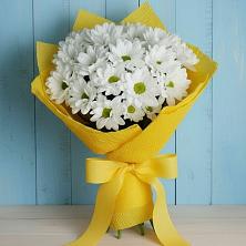 Букет цветов из:  Хризантемы в Светлом Томской области