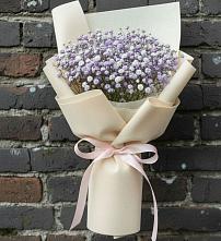 Букет цветов из:  Гипсофила #REPLACE_PRED# Светлом Томской области