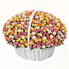 Премиум букет из: Розы в Светлом Томской области