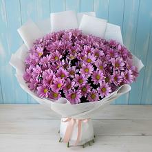 Букет цветов из:  Хризантемы в Светлом Томской области