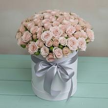 Цветочная композиция из Розы в шляпной коробке в Светлом Томской области