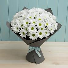 Букет цветов из:  Хризантемы в Светлом Томской области