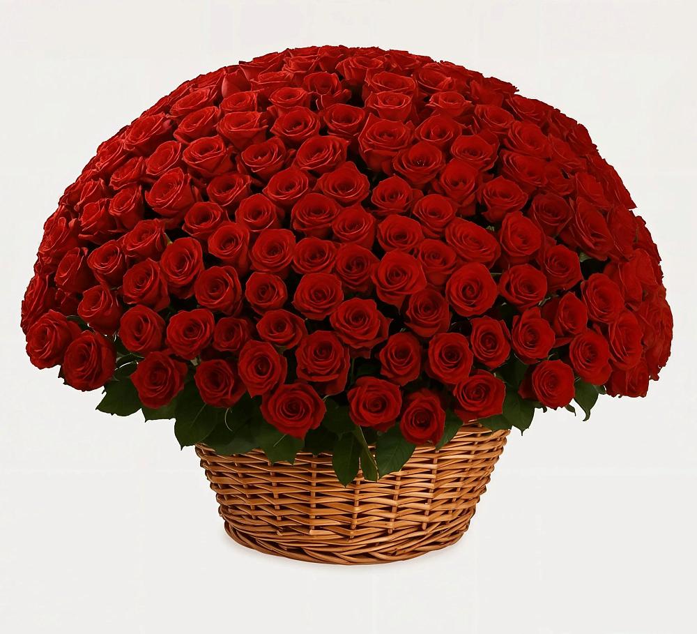 Премиум букет из: Розы в Светлом Томской области