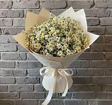 Букет цветов из:  Ромашки в Светлом Томской области