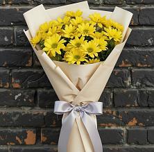 Букет цветов из:  Хризантемы #REPLACE_PRED# Светлом Томской области