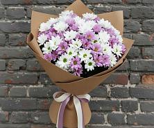 Букет цветов из:  Хризантемы в Светлом Томской области