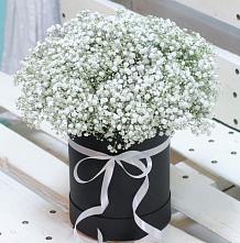 Цветочная композиция из Гипсофила в шляпной коробке #REPLACE_PRED# Светлом Томской области