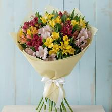 Букет цветов из:  Альстромерии в Светлом Томской области