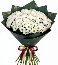 Букет цветов из:  Хризантемы в Светлом Томской области