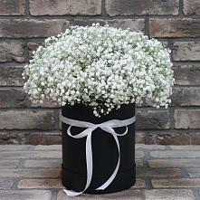 Цветочная композиция из Гипсофила в шляпной коробке в Светлом Томской области