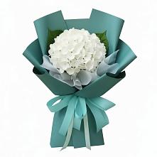 Букет цветов из:  Гортензия в Светлом Томской области